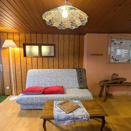 Cosy Au Coeur De Vagney, Proche Commerces Et Sentiers, Terrasse Et Cheminee, A 15km Gerardmer - Fr-1-589-304 Tatil Evi *
